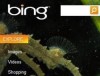 Bing sustituye a Live Search de Microsoft