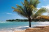 81612 Beach Fsa-g