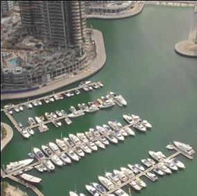 Dubia Marina