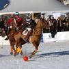 Berenberg Snow Polo