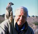 David Attenborough 