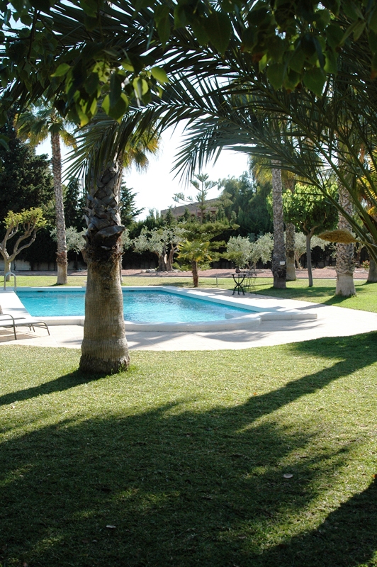 jardin en playa de san juan