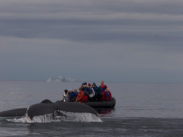 viaje a la antartida en barco