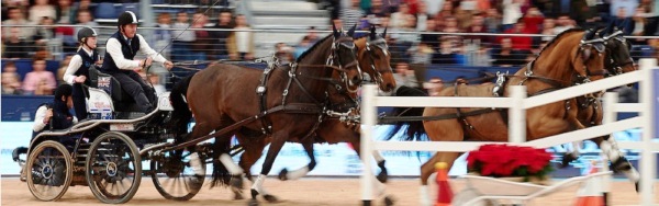 madrid horse week