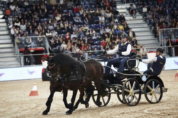 madrid horse week