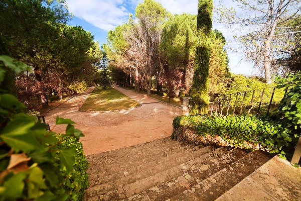 Finca el Torreón