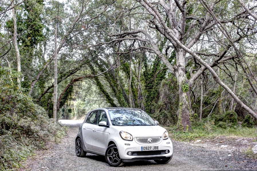 smart forfour 52 Proxy - fotografia www.luxury360.es