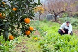 Cataluña, Región Europea de Gastronomía 2016