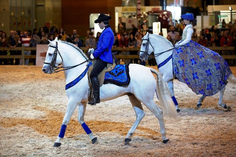 madrid horse week