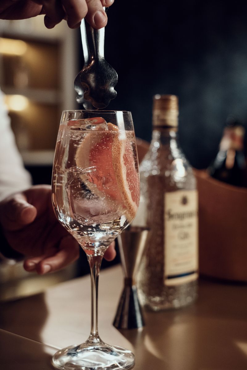 Cóctel Gin Tonic Royale