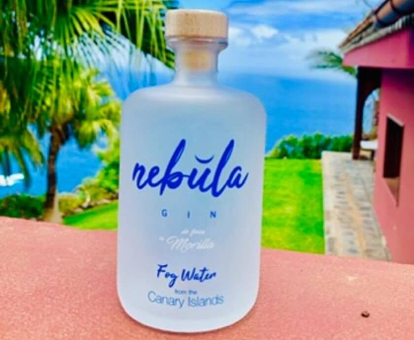 GIN NEBULA, La Ginebra con sabor a niebla GIN NEBULA, La Ginebra con sabor a niebla
