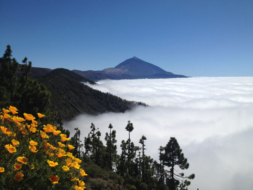 Mar de Nubes en las islas canarias