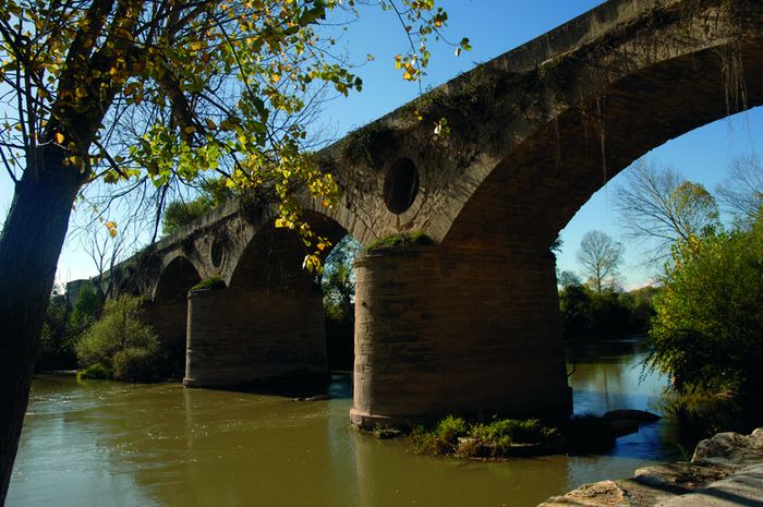 Ruta del Vino de Rioja Alavesa