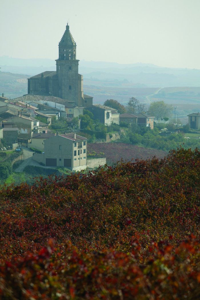 Ruta del Vino de Rioja Alavesa