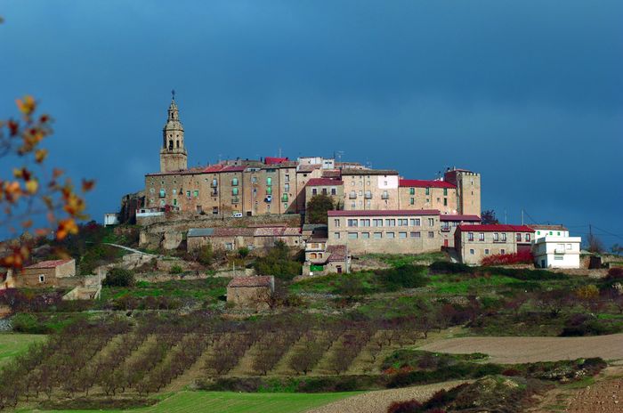 Ruta del Vino de Rioja Alavesa