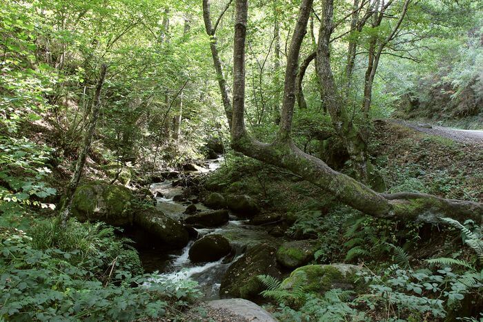 Valle del Silencio