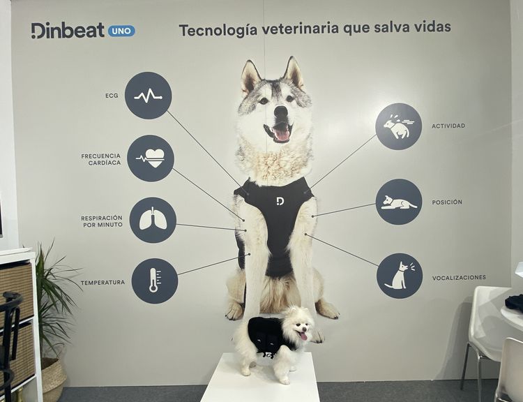 Dinbeat UNO, premio “Innoval For Pets” por su arnés multiparamétrico