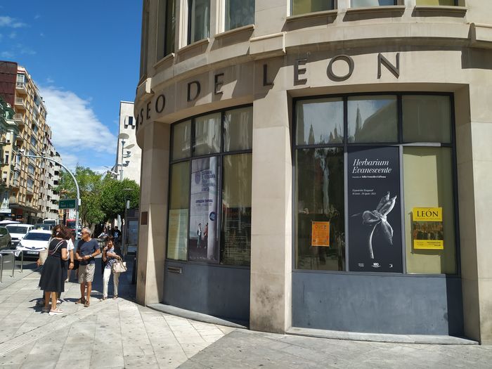 Museo de León