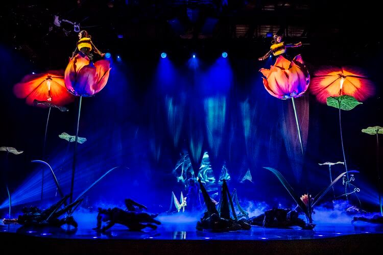 Cirque du Soleil OVO