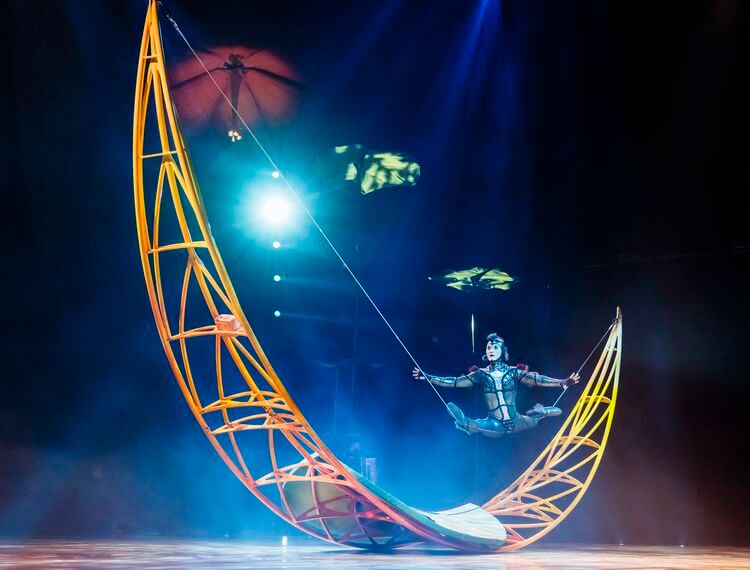 Cirque du Soleil OVO