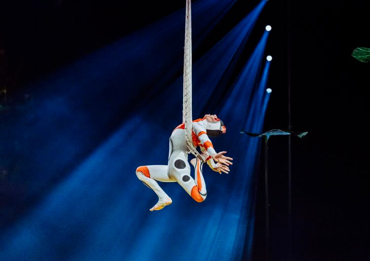 Cirque du Soleil OVO