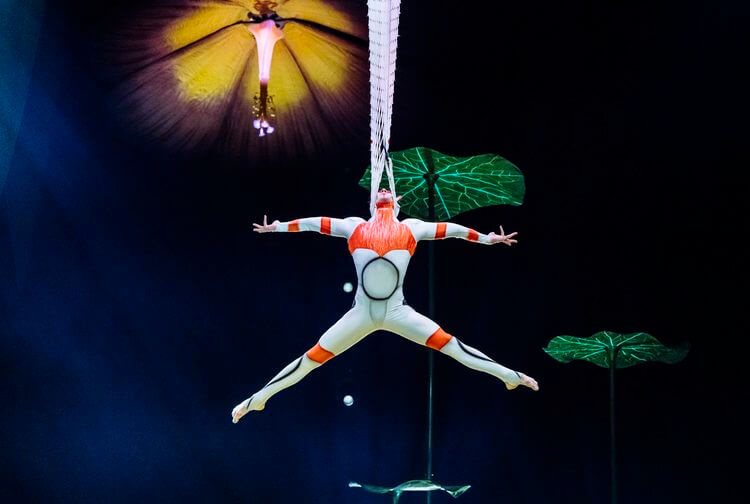 Cirque du Soleil OVO