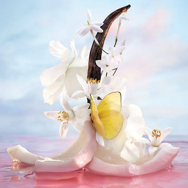 PERFUME CACHAREL ELLA ELLA PERFUME CACHAREL ELLA ELLA