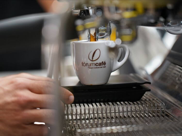 Fórum Cultural del Café - Cata cafes Fórum Cultural del Café - Cata cafes