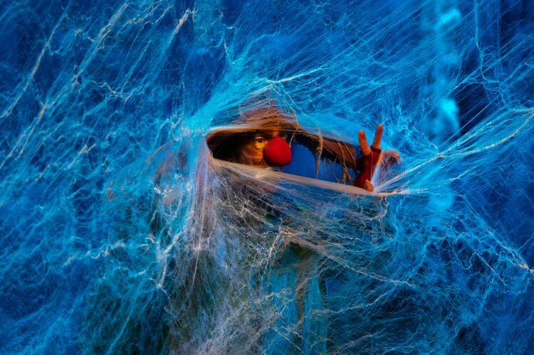 Slava_Roman Boldyrev  PHOTO