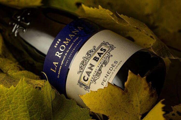 Can Bas La Romana Can Bas La Romana