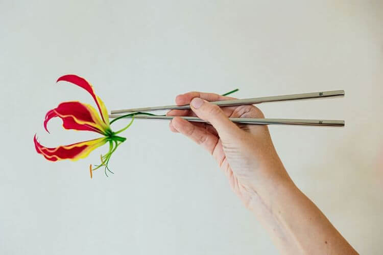 Roots Simmer WMF y Lis Ra