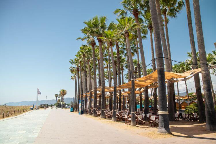 Palm Market Castelldefels Palm Market Castelldefels
