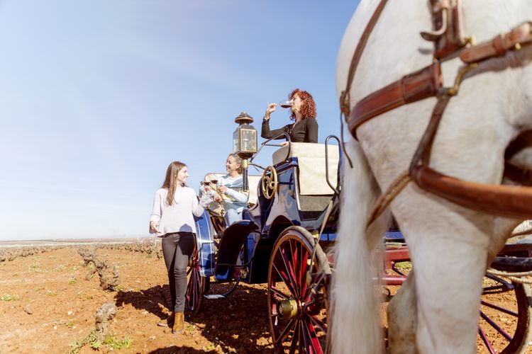 Enoturismo red de pueblos gastronomicos de españa Enoturismo red de pueblos gastronomicos de españa