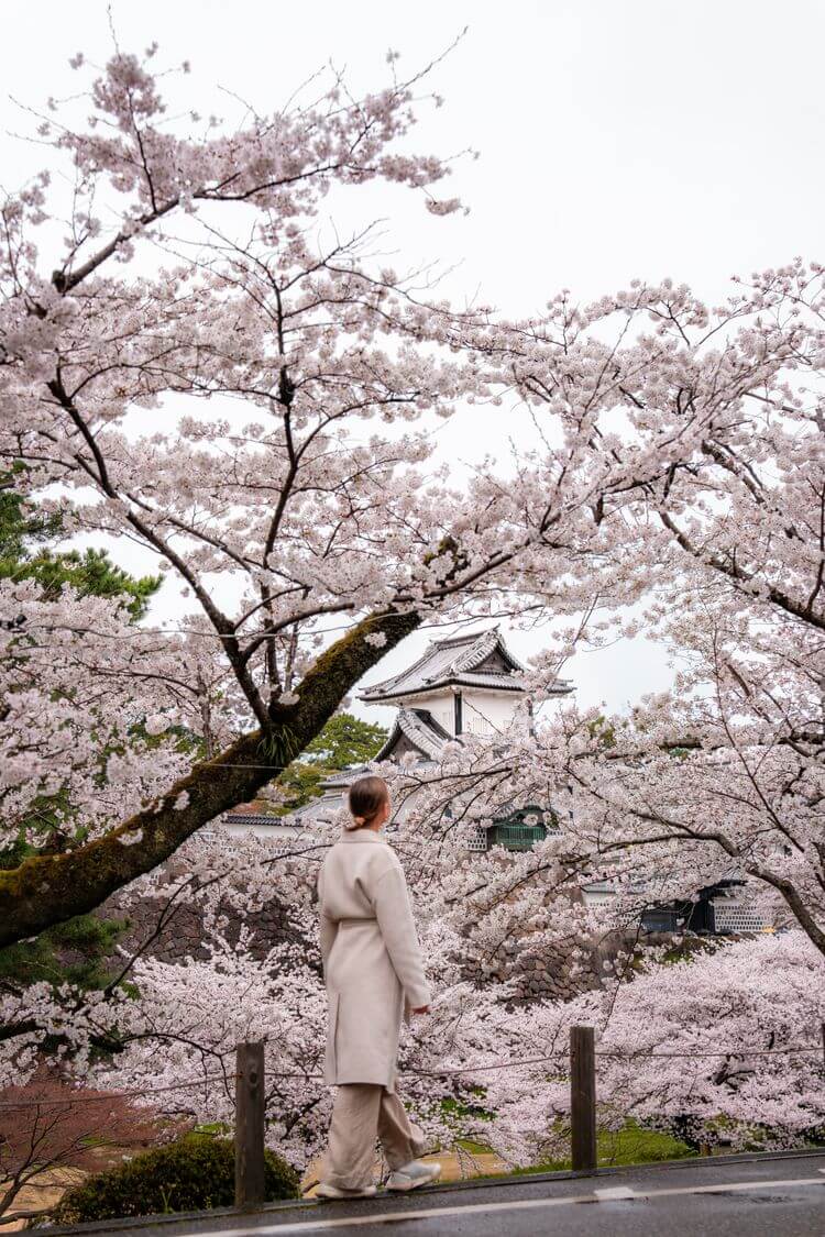 Silversea Viajes de lujo experienciales y de expedición a Japón