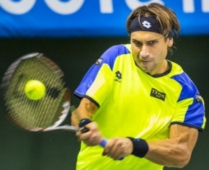 David Ferrer subcampeón del Torneo de Tenis de Estocolmo