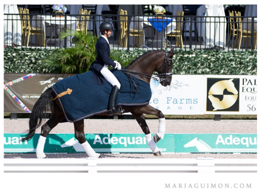 Triple victoria para el jinete Juan Matute JR y Don Diego en el Goblal Dressage Festival de Wellington, Florida, USA