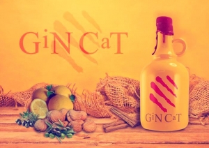 Gin Cat