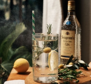 Como preparar un Cóctel Garden Tonic con Seagram´s Gin - Video