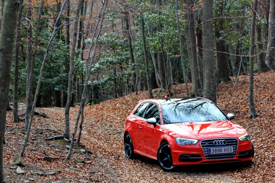 AUDI S3, disfrazado para la ocasión.