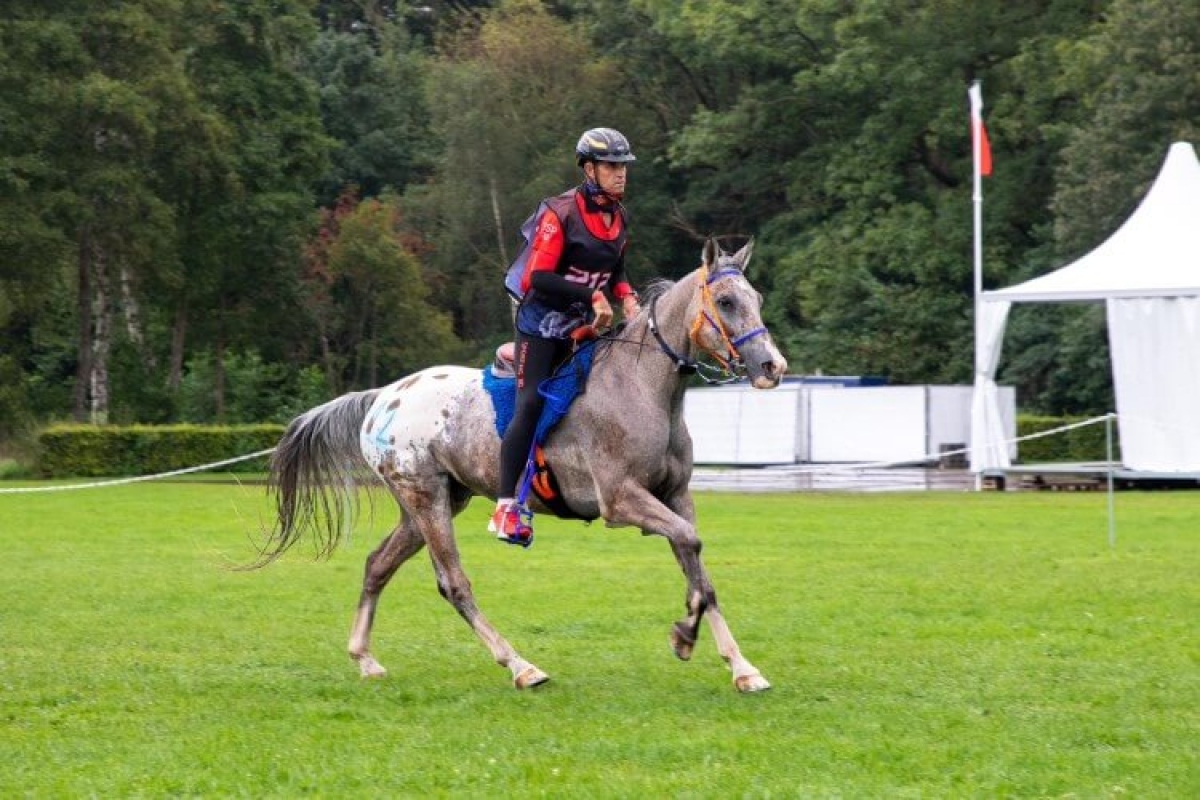 Jaume Punti Dachs, Bronce en el Campeonato del Mundo de Raid