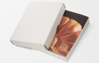 Crafted World Jonathan Anderson's LOEWE