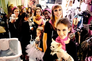 Desfile canino