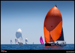 GAASTRA PALMAVELA 2015 