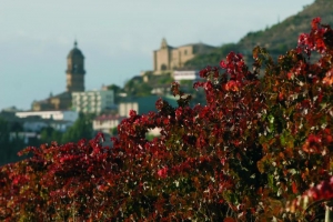 La Bastida - Rioja Alavesa