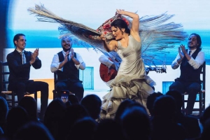 TEATRO FLAMENCO BARCELONA, arte y espectáculo
