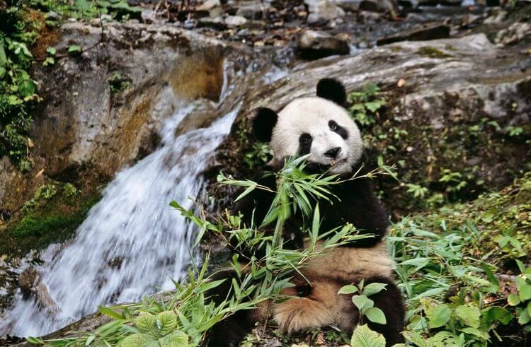 ILaureadas de los Premios Rolex