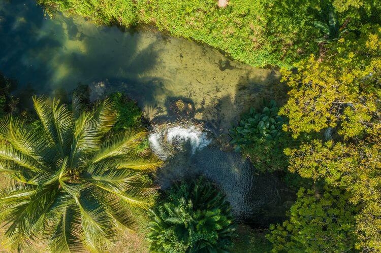 IRedescubriendo la isla caribeña de Jamaica